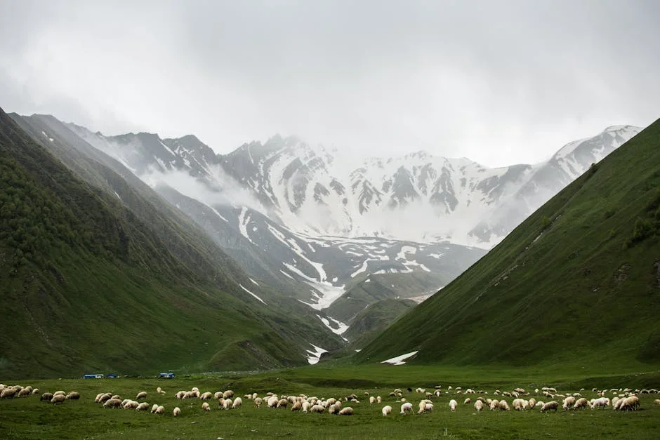 Cover image for Justice in the Field