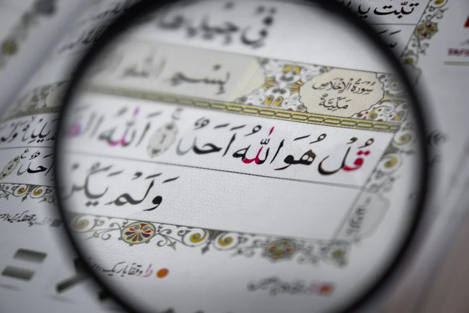 Cover image for Quran Interpretation and Debate