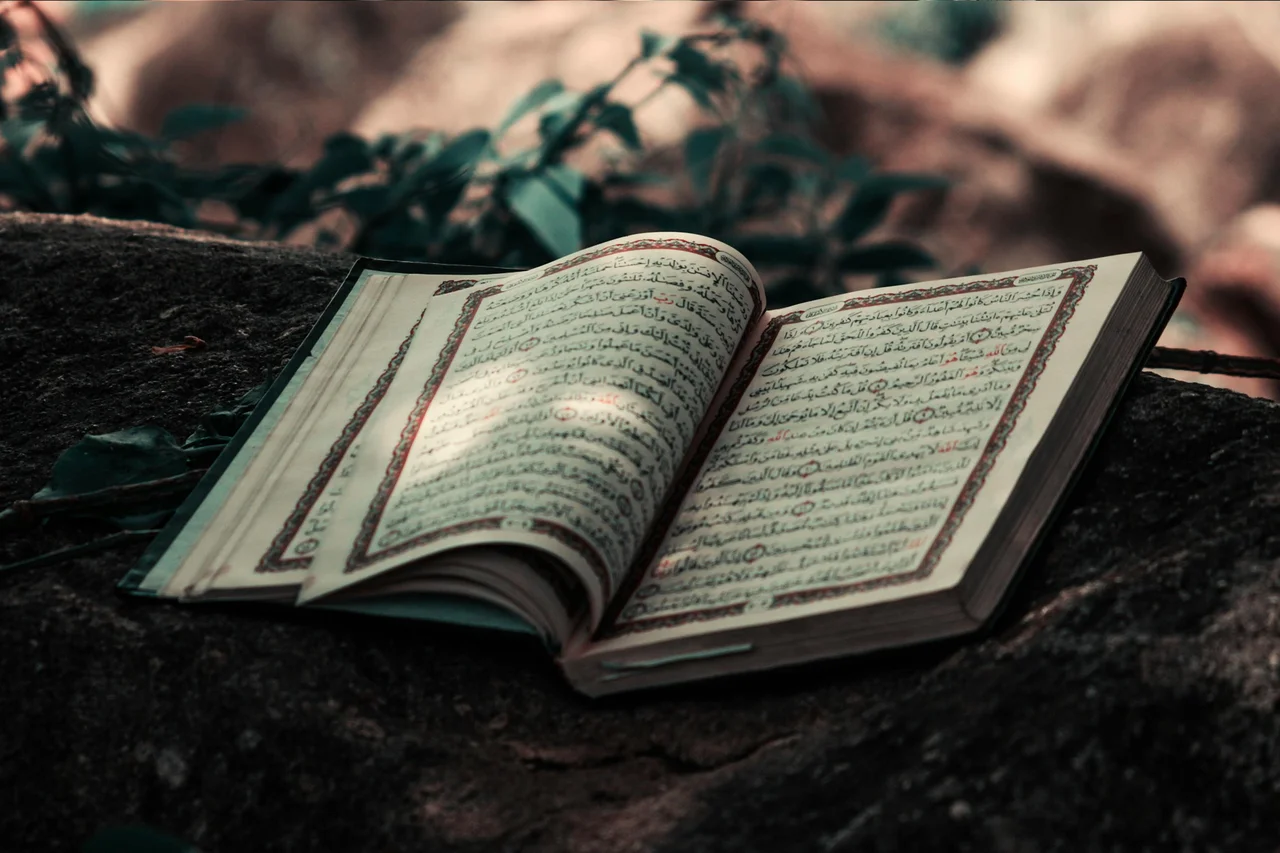 Cover image for A Life of Reading and Writing