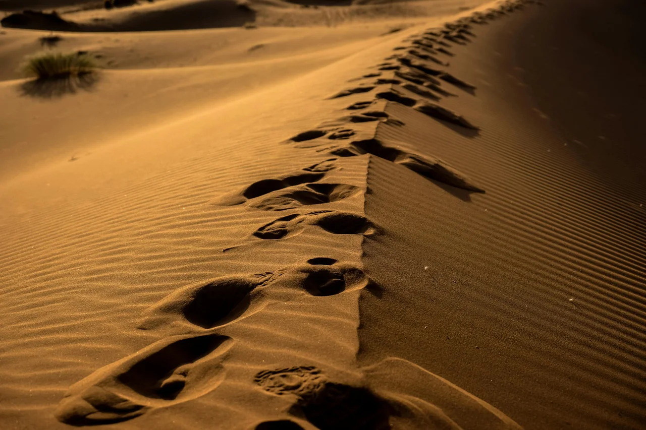 Cover image for A Path to Mercy