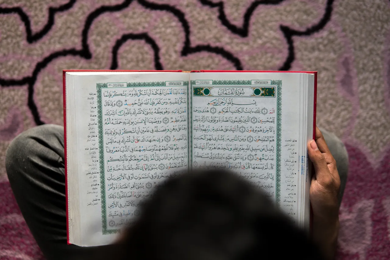 Cover image for Proofs of Scripture